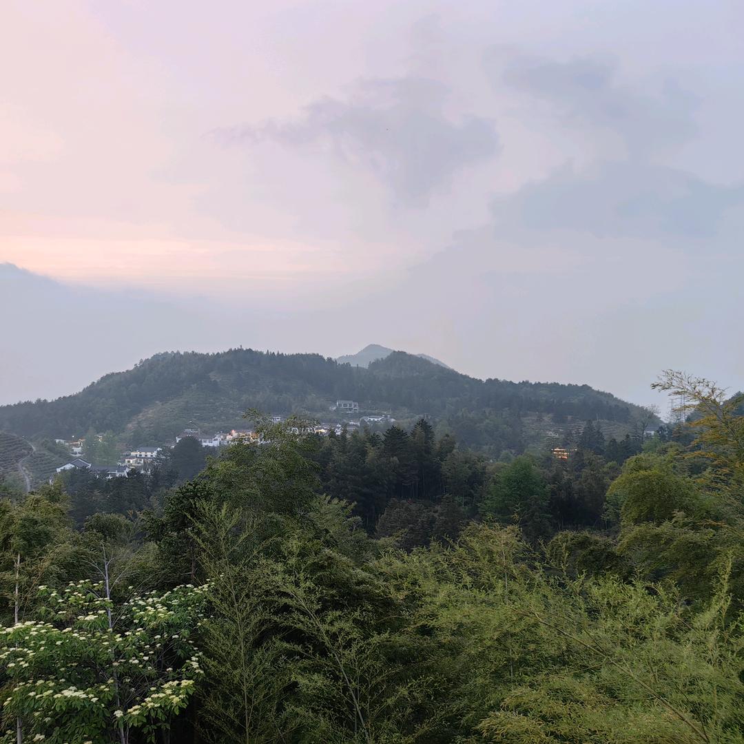 禅意