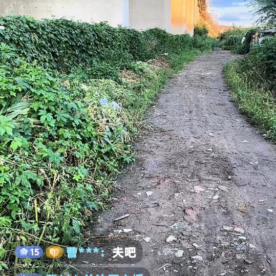 农村人小号