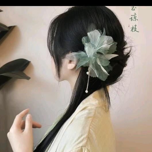 🌿艺菲