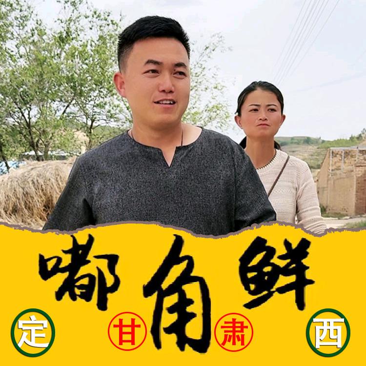 嘟角鲜甘肃农村特产美食