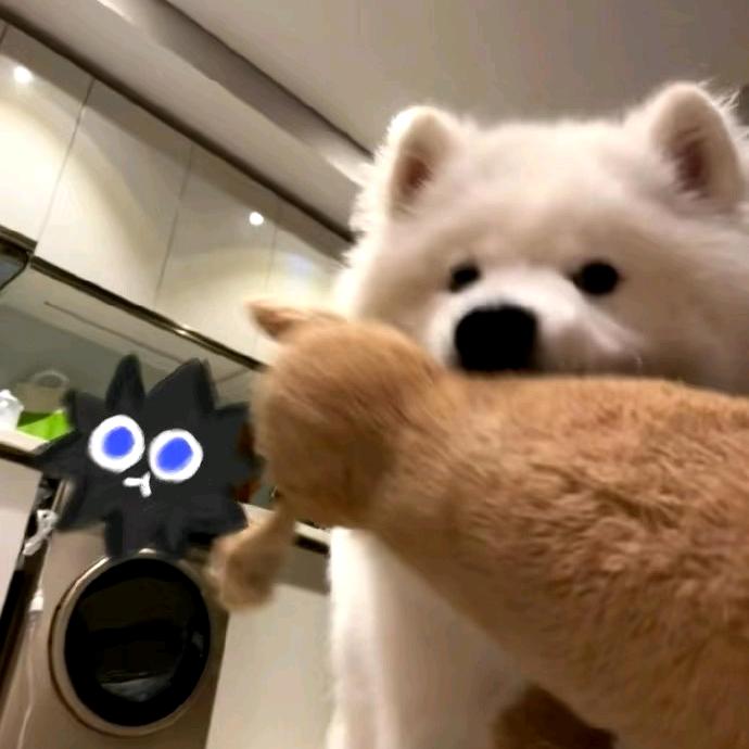 四脚