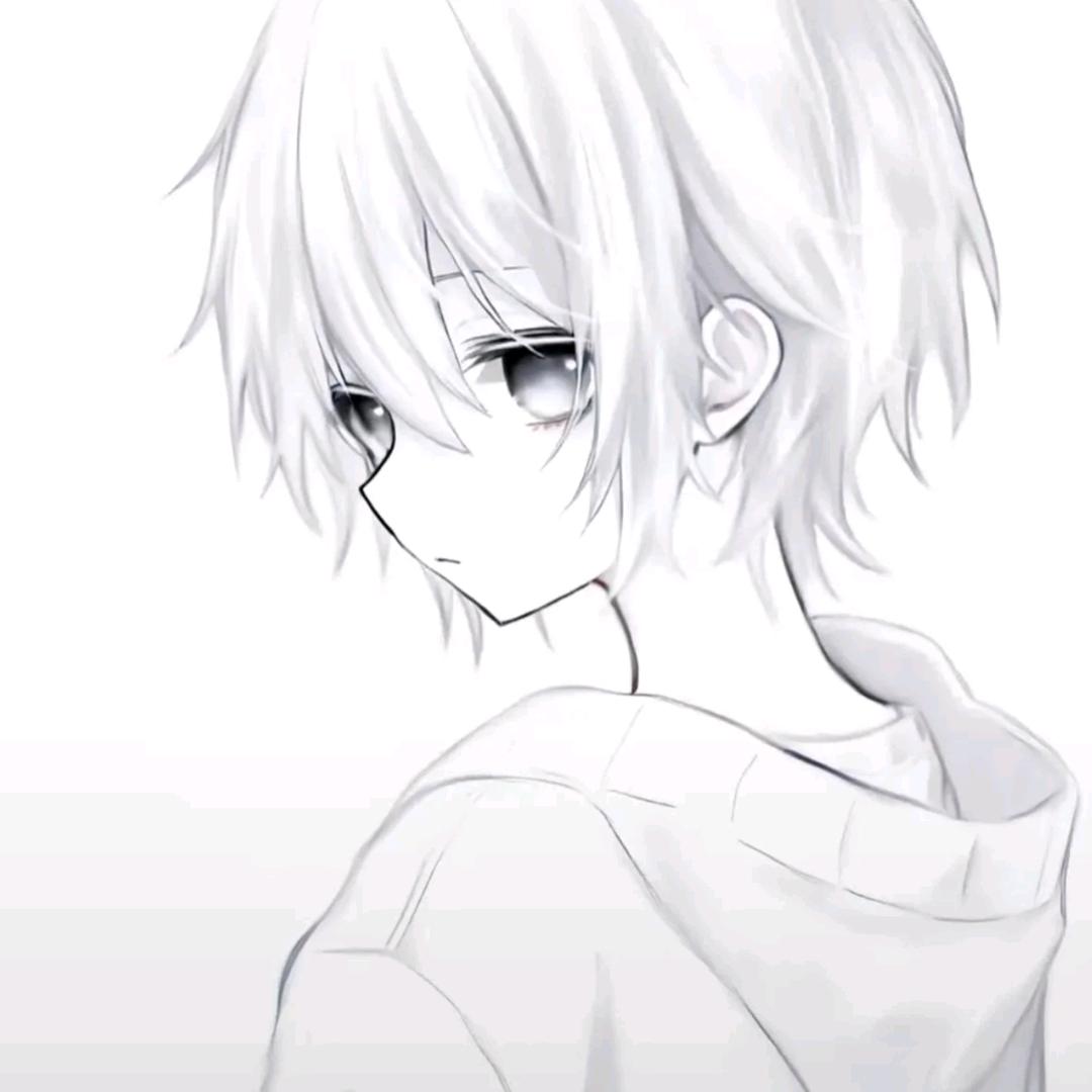 言卿