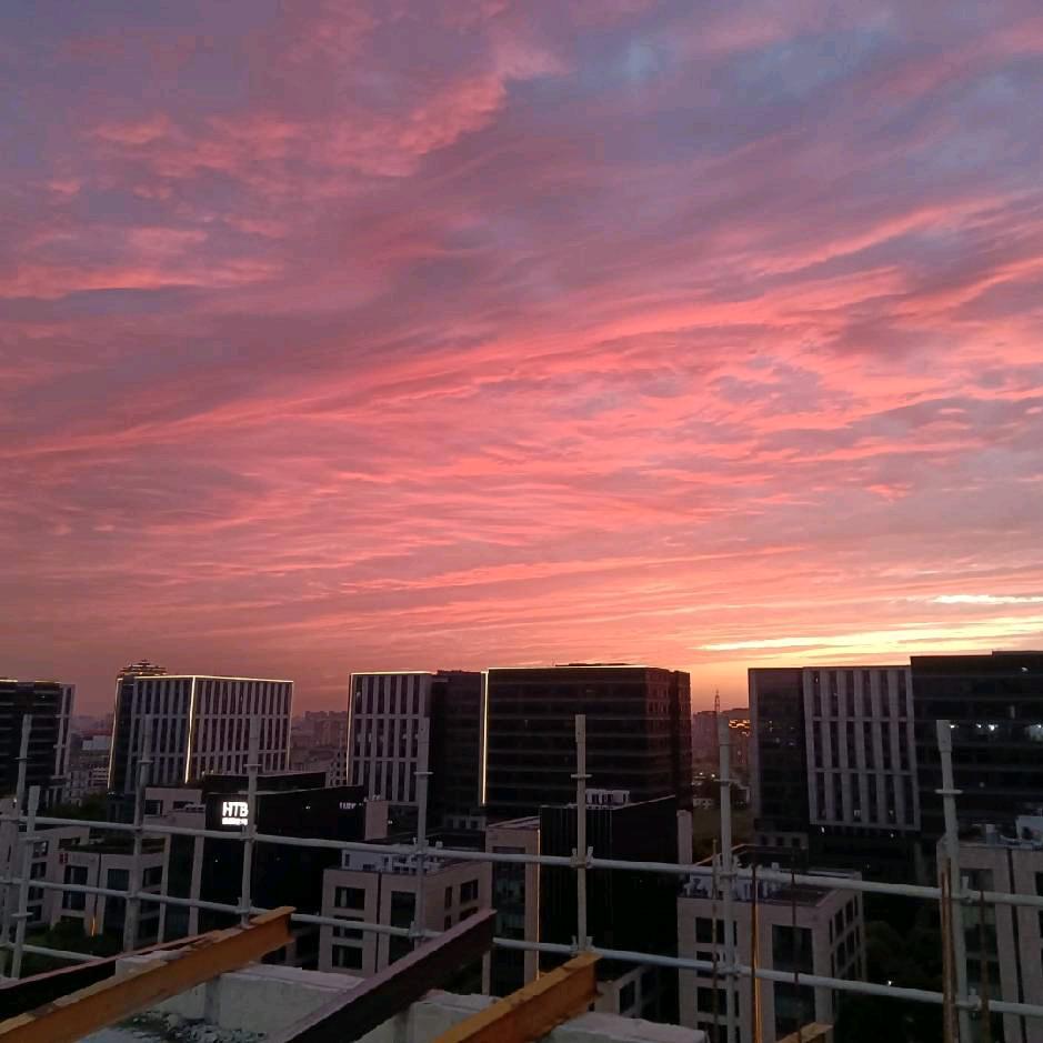 擒贼先擒王先生