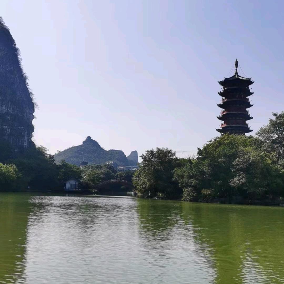 驾校的卧龙凤雏