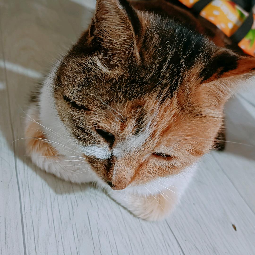 小奈jduw