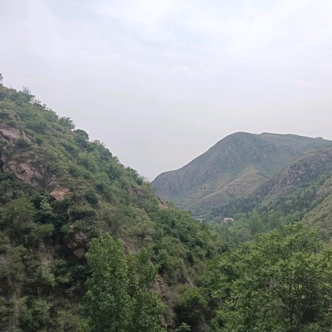 曾经年少爱追梦