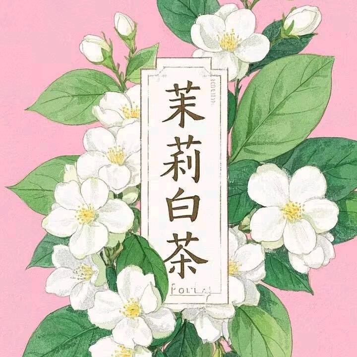 忆佳茗茶庄
