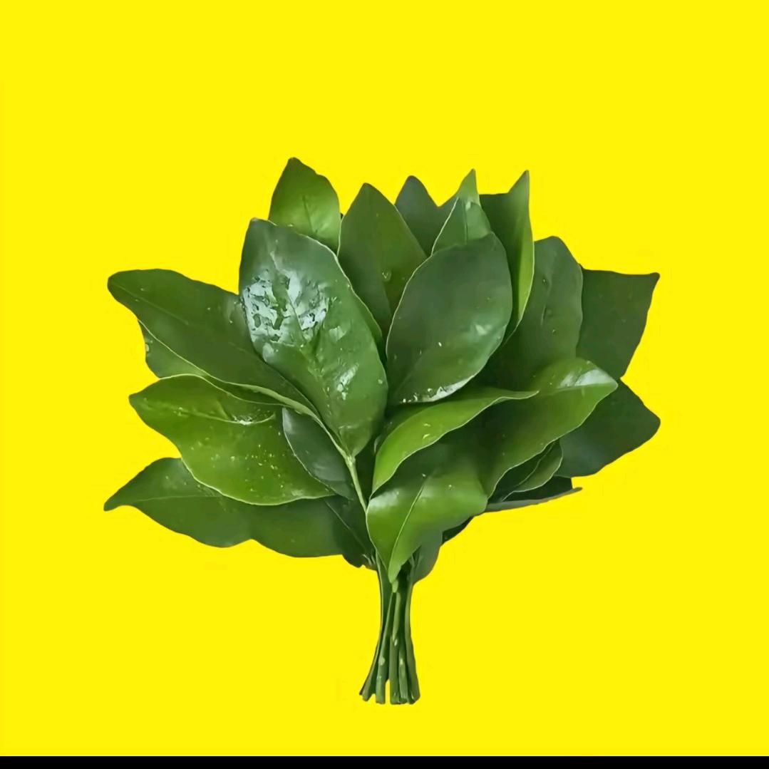 雨涵