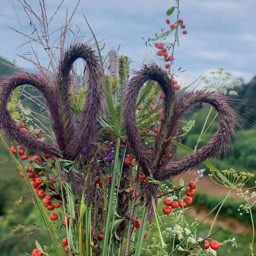 💞ღ᭄干干净净做人ོོꦿ᭄࿐