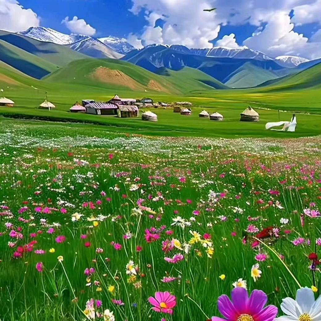 好好爱自己❤️