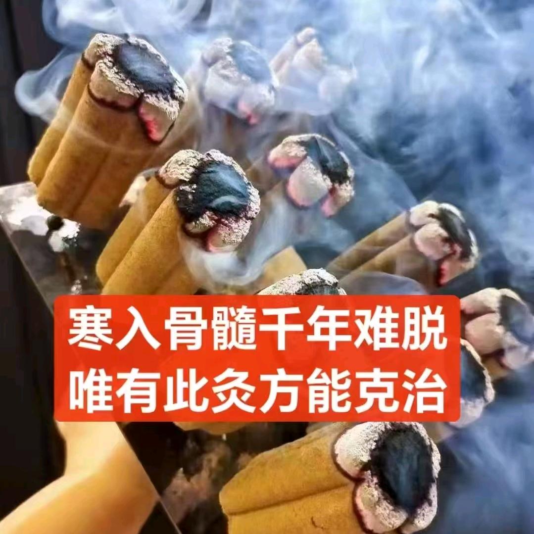 中华钱氏全息灸