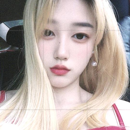 @汪哈哈哈😍