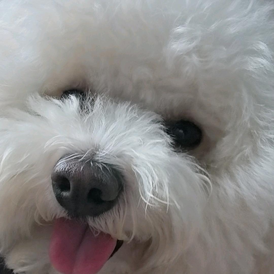 㞮(ﾉ*ﾟｰﾟ)ﾉ孞6888号