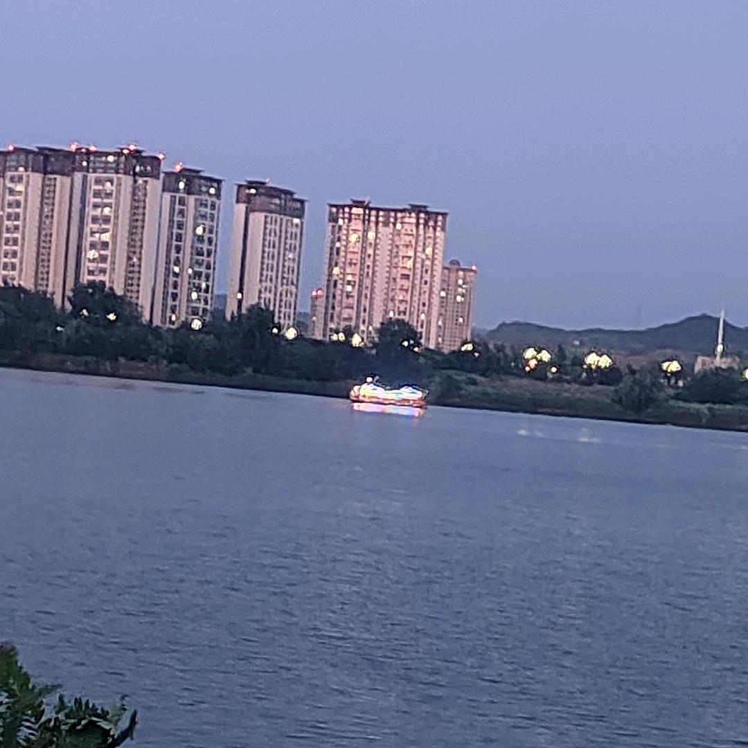 野生篮球爱好者