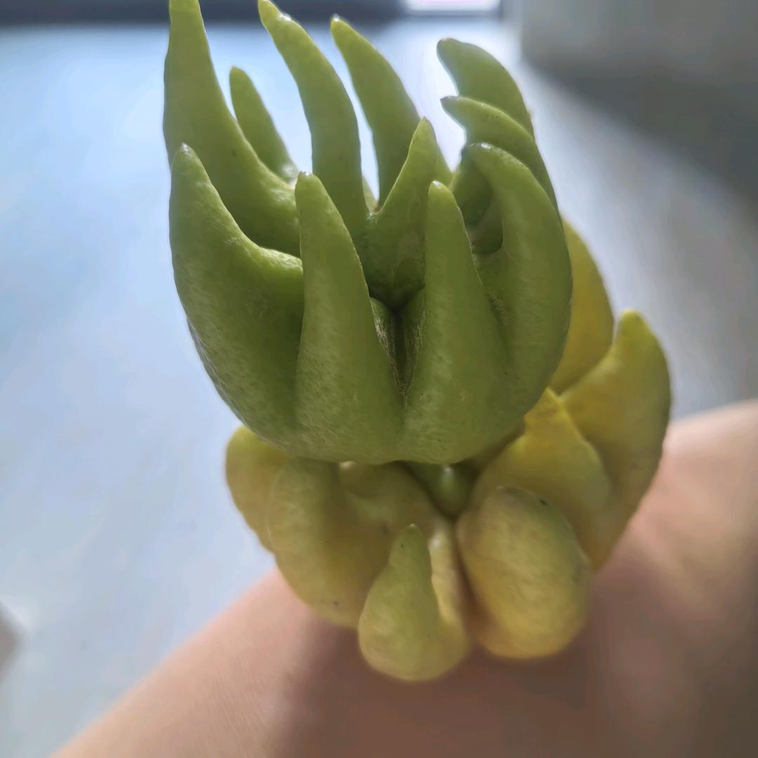 微塵