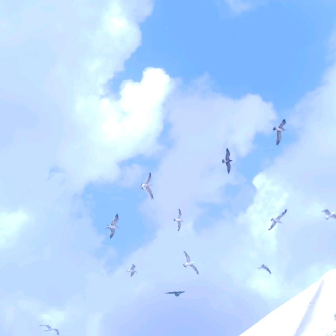 （安娜老乡）88年妇女主任