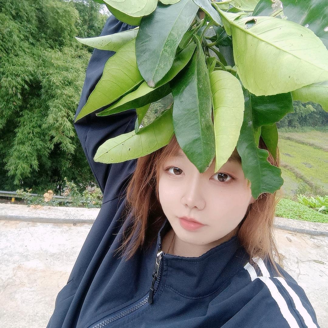 巨蟹婷宝