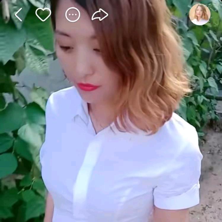青岛玫瑰