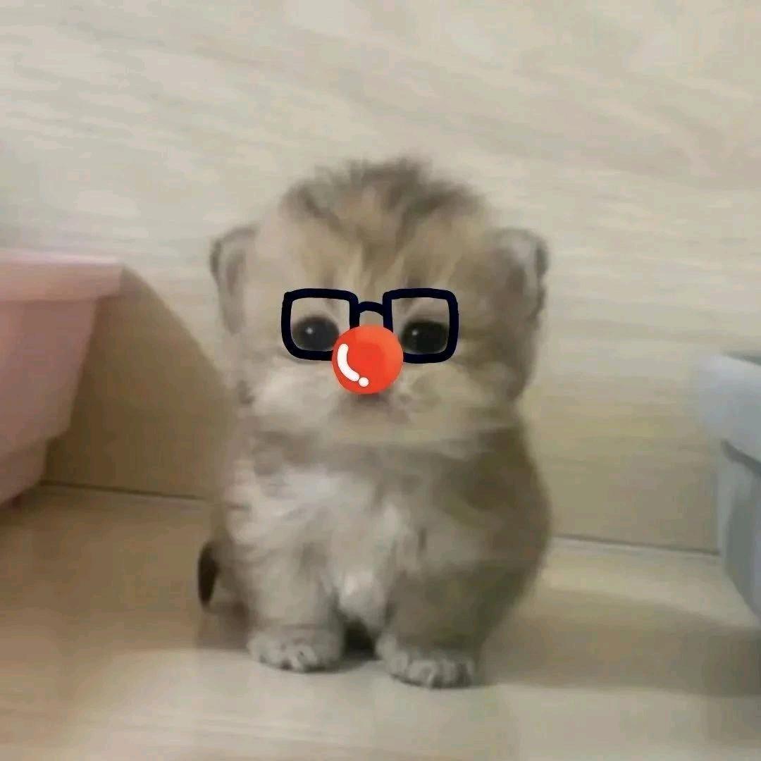 崽崽ᑒ