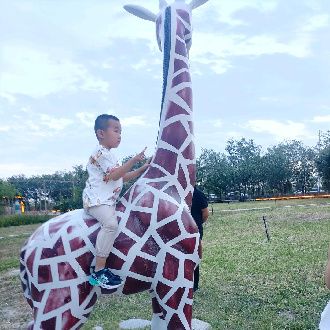 检寨，饼司令，奋斗者