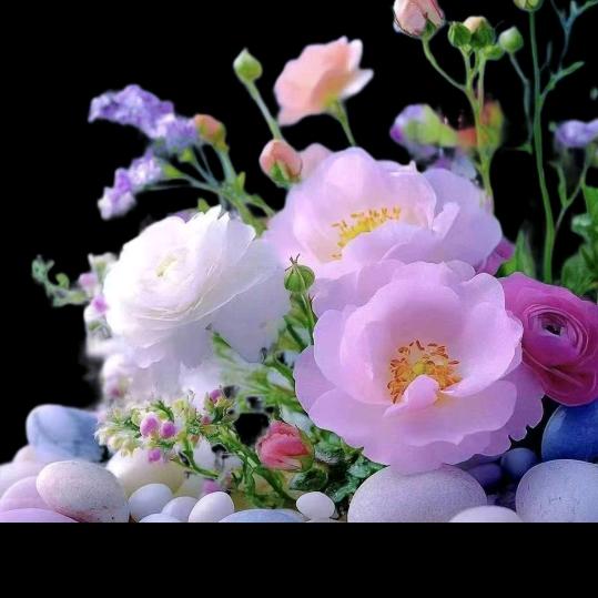 秋天的茉莉🍎户外直播