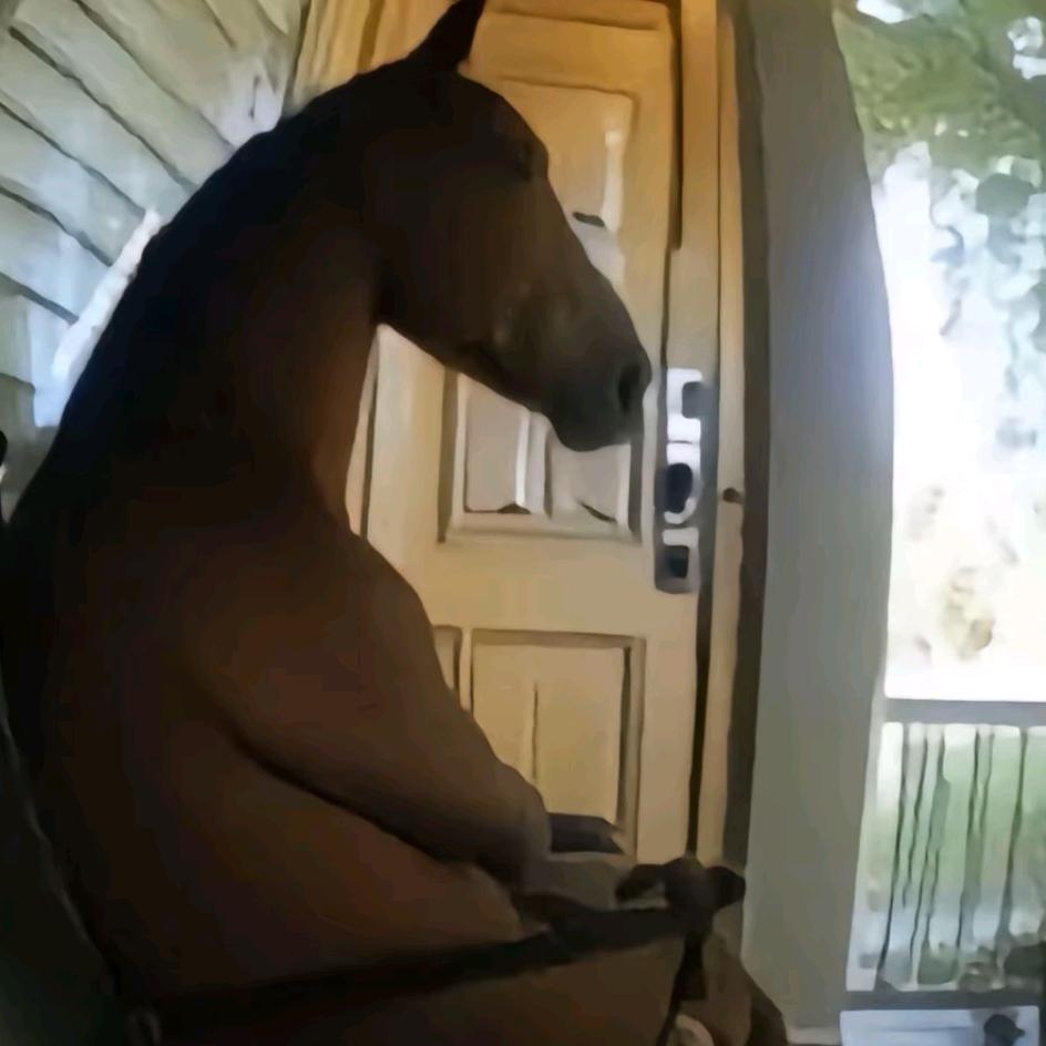 炫迈