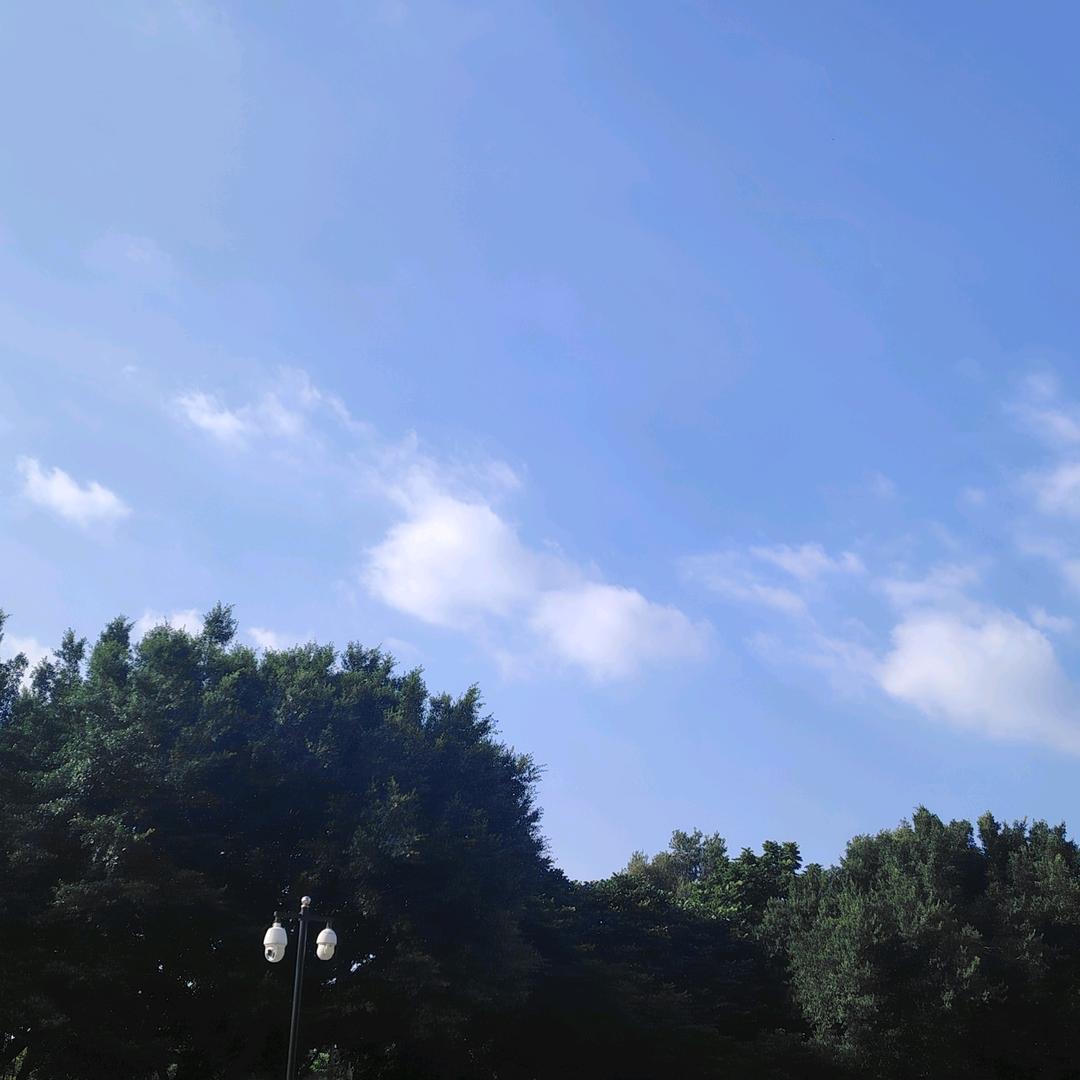 辰哥谈球1一越磊