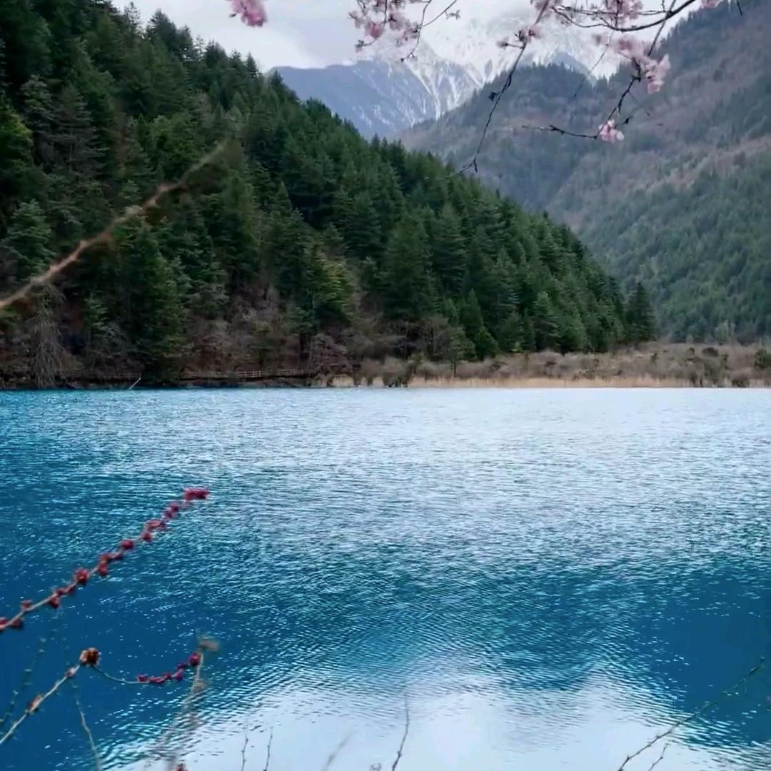 小诗妹