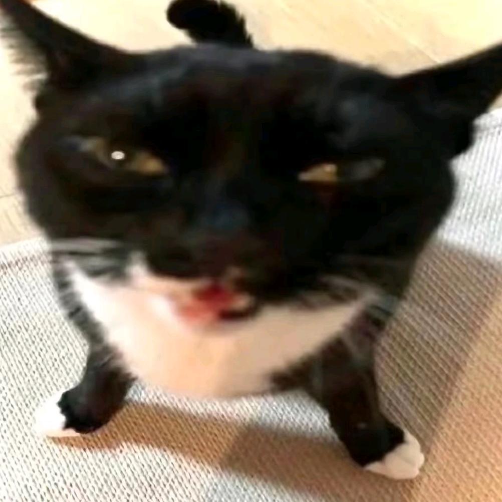 江江江江江慕