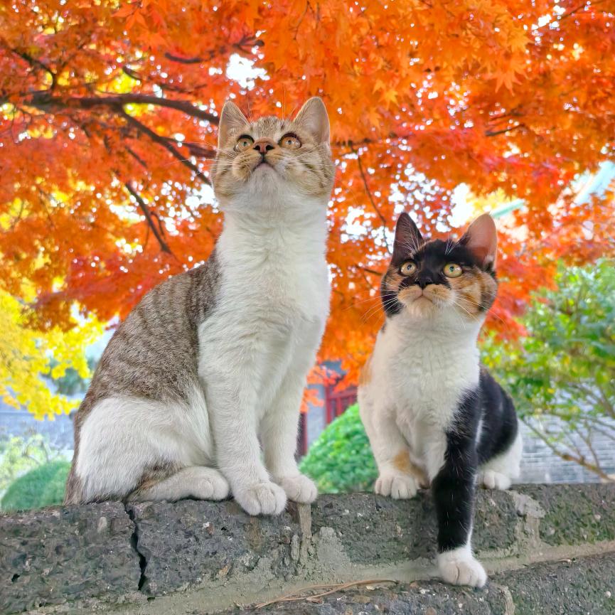 春暖花开