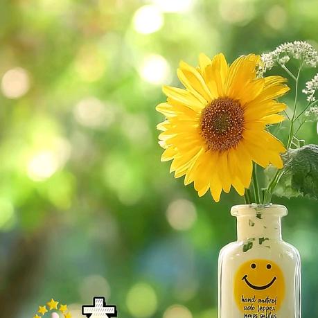 🍀忆🎶倾城🍀