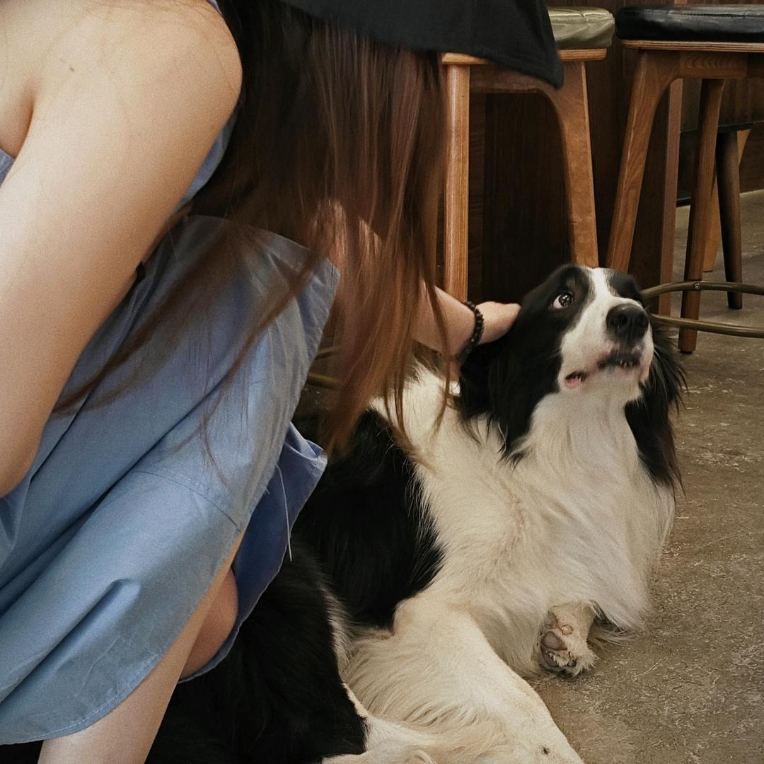 刺猬的五条新秋裤