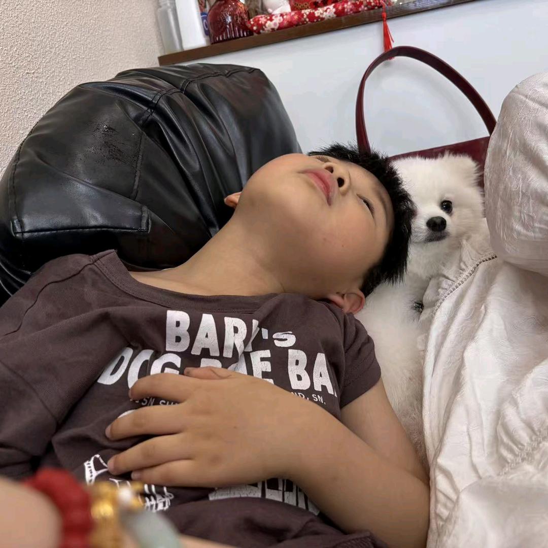 登宝和木木的日常