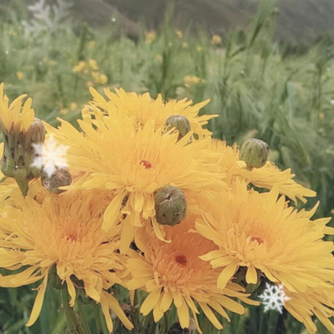 🔥𝐀𝐧𝐠𝐞𝐥𝐚𝐚.🌟