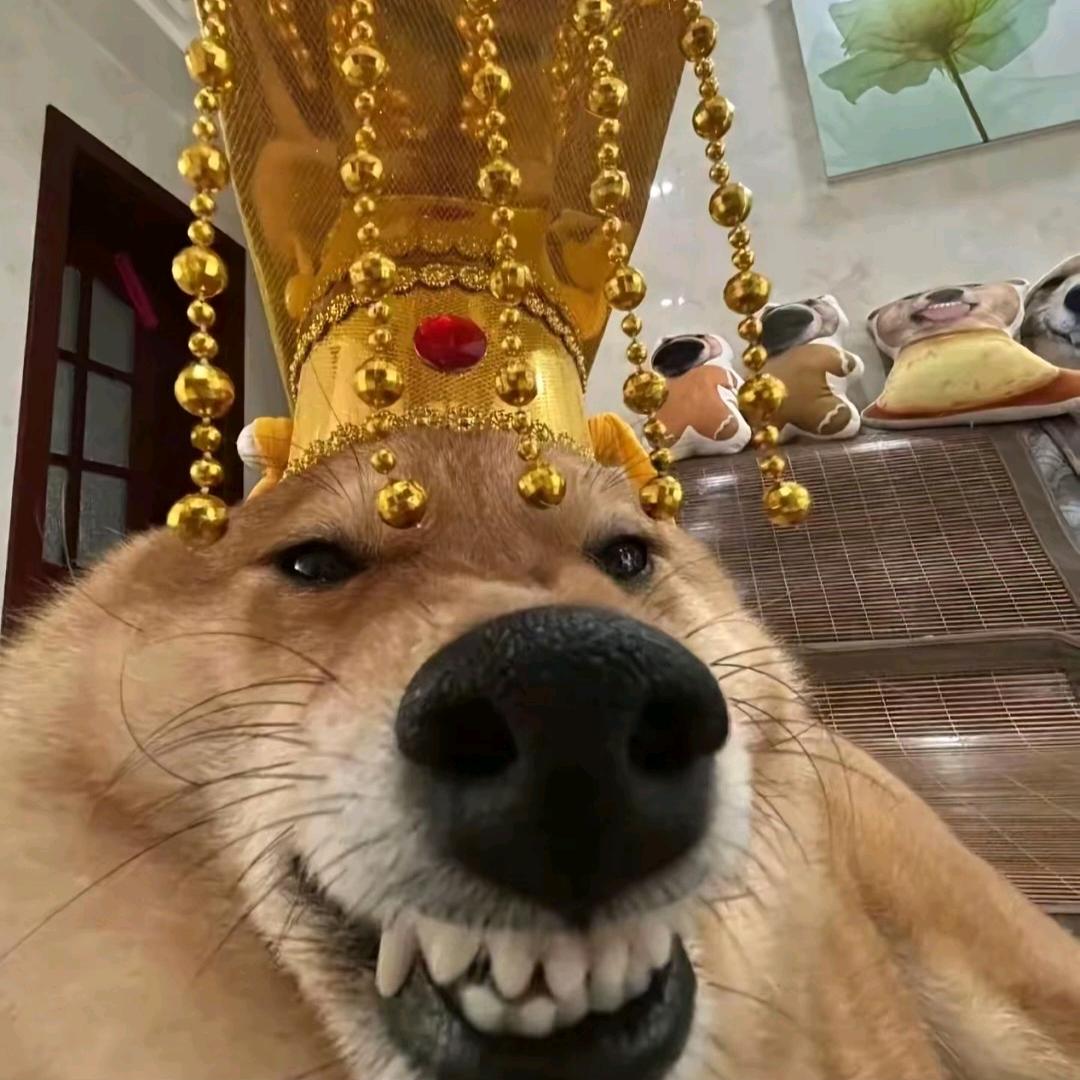 谁也不是贱篮子
