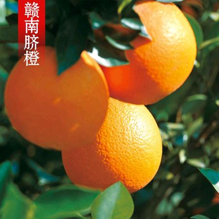 甜觅赣南脐橙