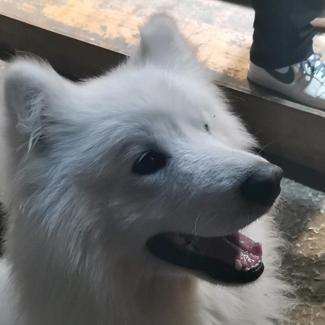 俢