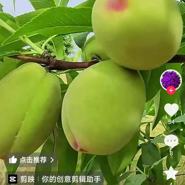 家和萬事興