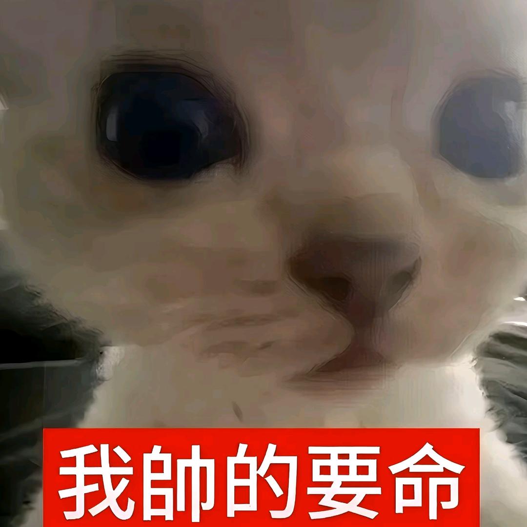 冰痕ᵒ