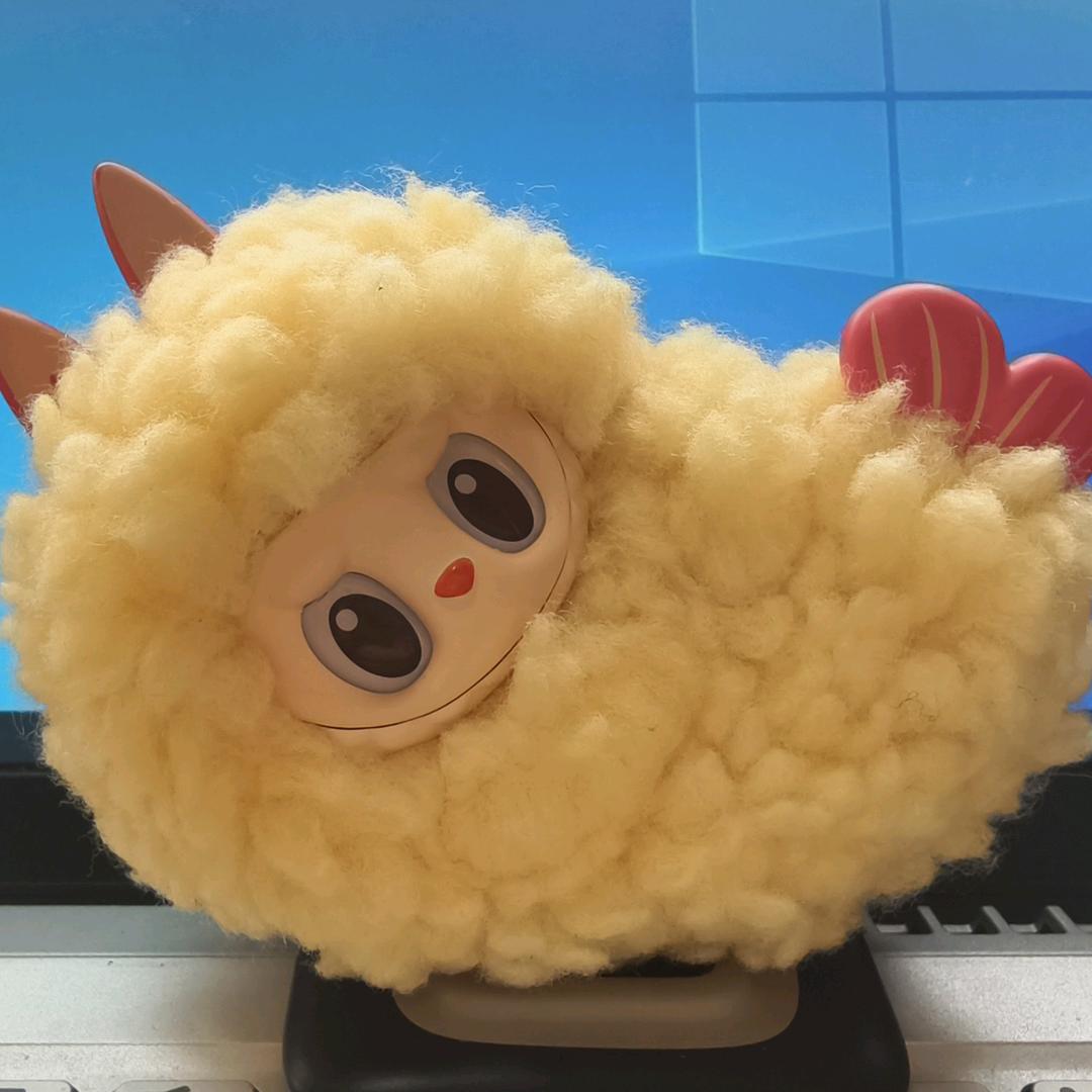 多肉的coco
