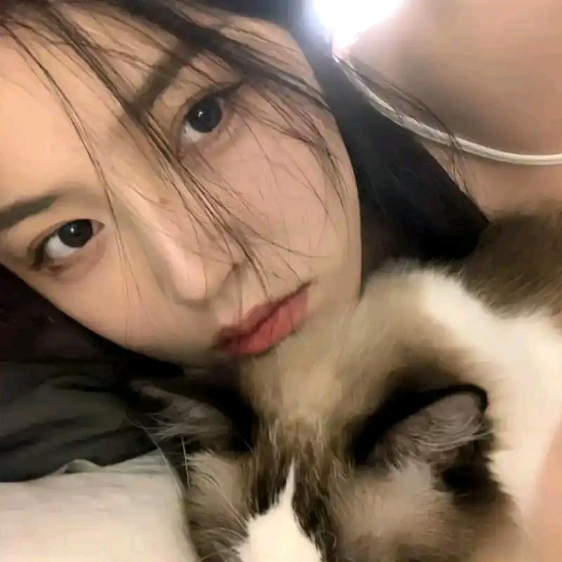 不植不活花草精品店