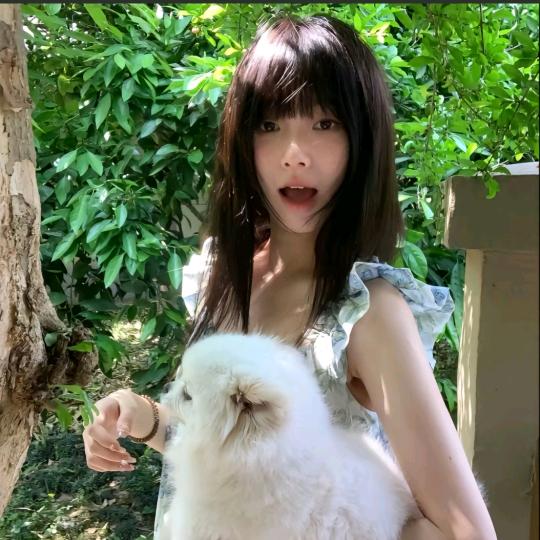 小霖洋～🐑💙