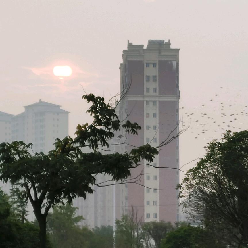 随缘