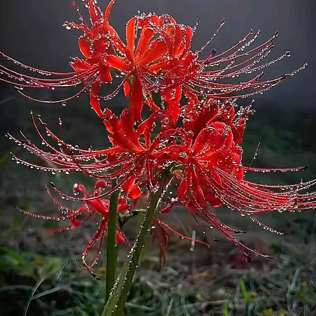 ☞小十一