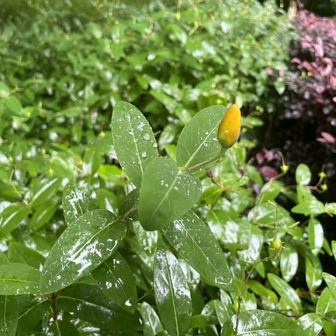 🐻往事随风⁰⁸¹²