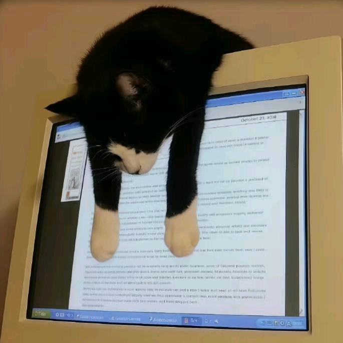 怒怒丸