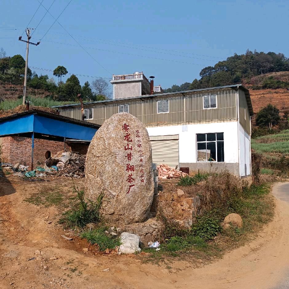 昔翔雾龙山茶厂