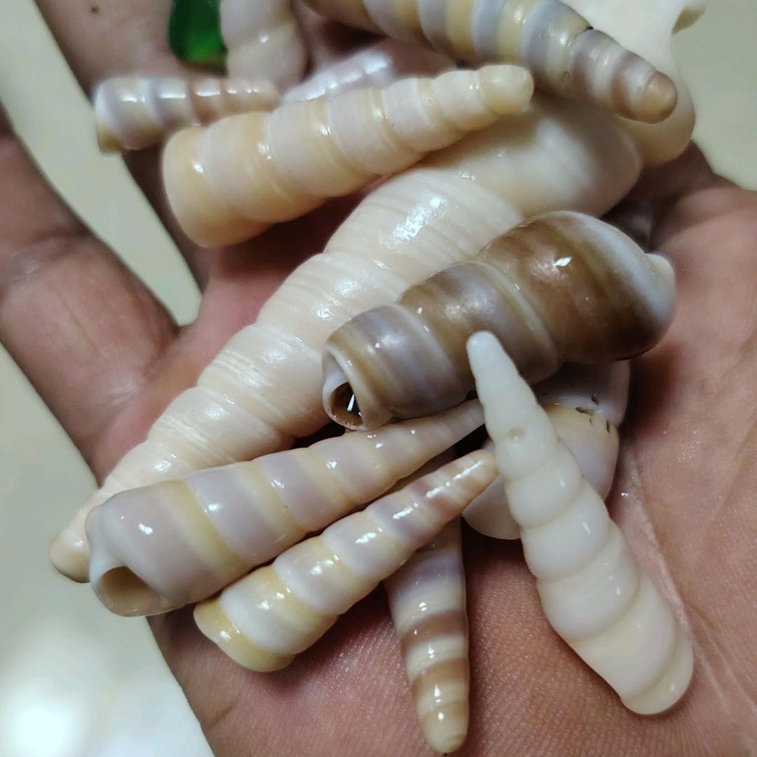 穷鬼
