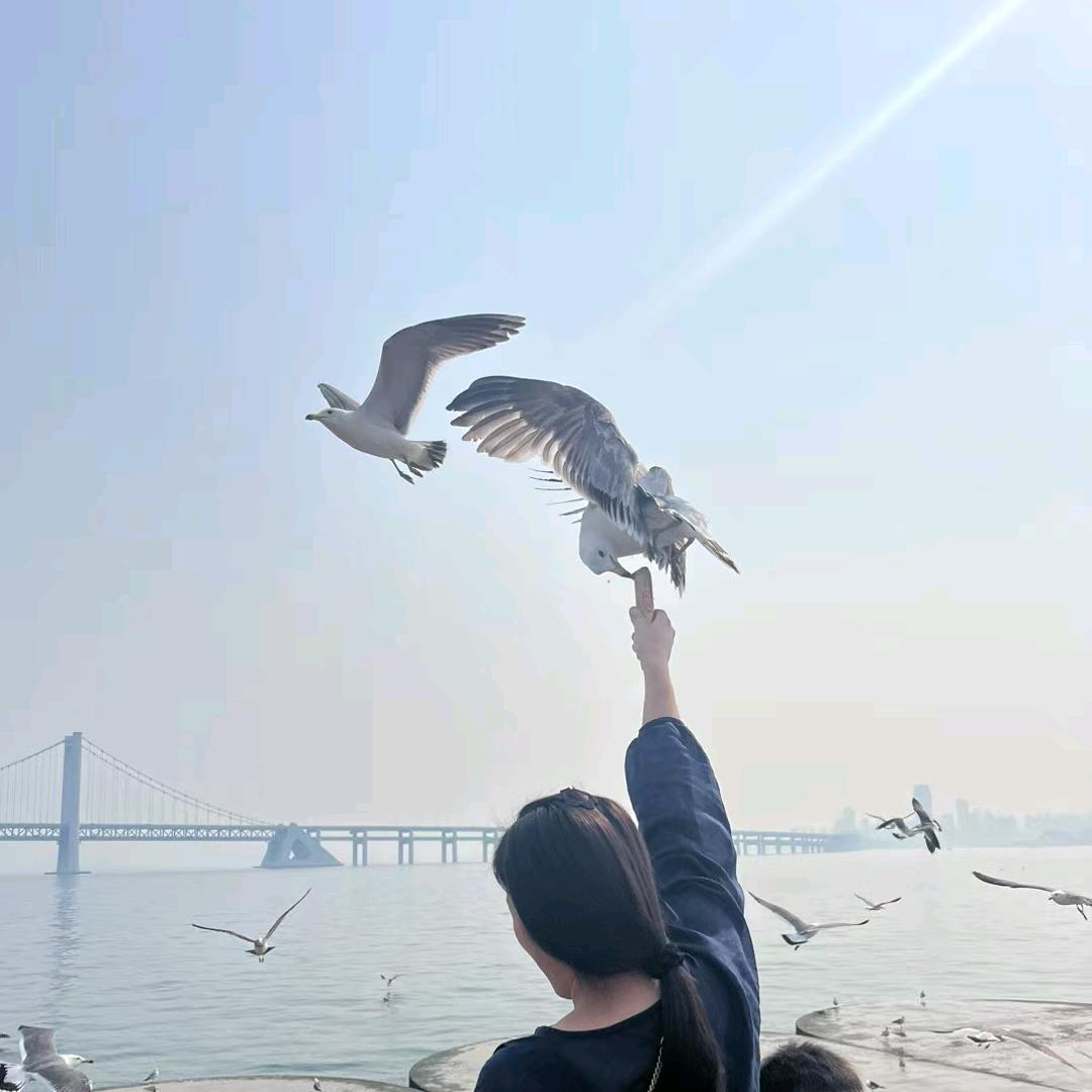 知足常乐(☝｀˘ω˘)☝