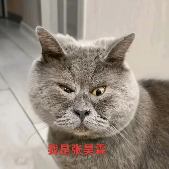 こうさん